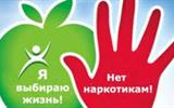 Без названия